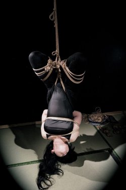 thevertigonetwork:  Kinbaku ChiakiModel Ryuto