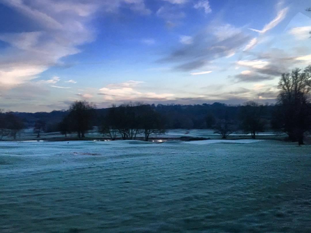 Good morning in England. I woke up this morning hearing birds sing and it made me