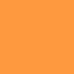pantone-colors:  Pantone 1375-u rgb(255,153,64) hsl(28,100%,63%) #ff9940 https://t.co/1dfMbjRqdc