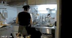 The Absolute Funniest Posts On Tumblr