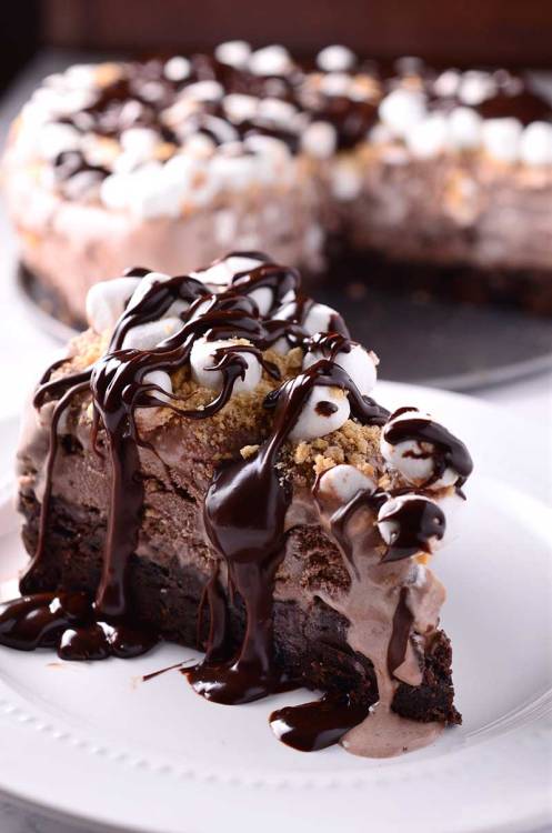 daily-deliciousness:  Oreo brownie and smores