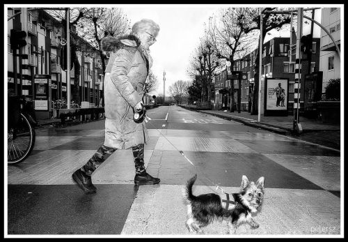 #almere #crossing #dog #lady . . . #instablackandwhite #insta_bw #bnwlas #bw_society #insta_pick#bl