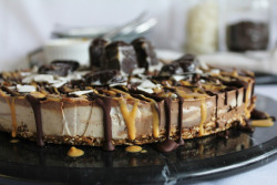 vegan-yums:     Raw vanilla chocolate chunk cheesecake with peanut butter + coconut / Recipe  Oh okay can I have this?