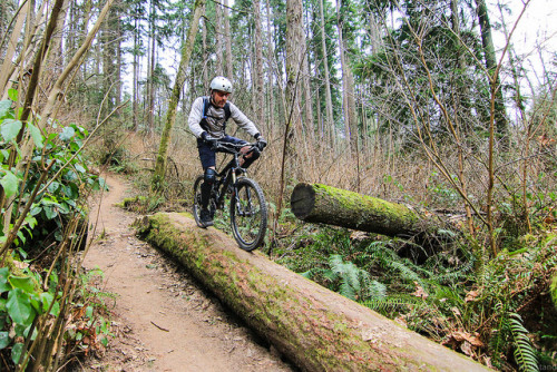 fuckyeahmountainbiking:  mountain biking self-portrait by _Kickstand on Flickr.