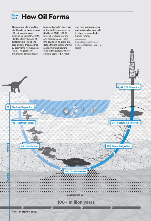 ABRAMS • The process of converting plankton to oil takes...