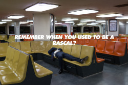 taces:  Remember when you used to be a rascal?