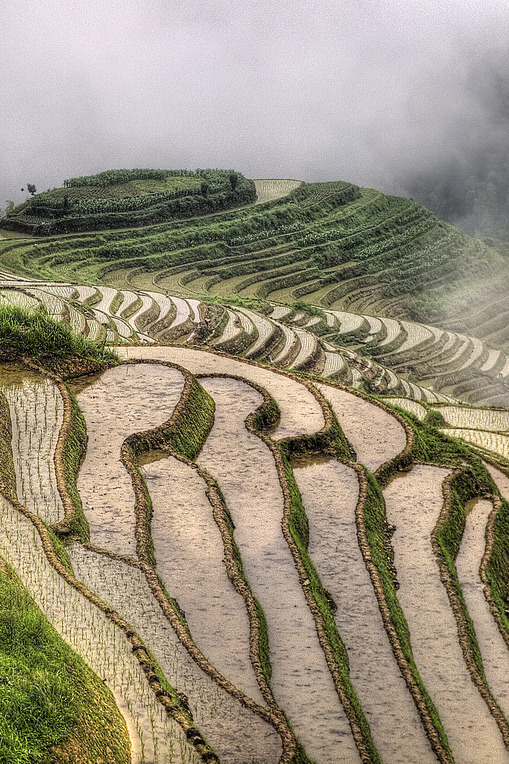 l-eth-e:  LongJi Terrace #11 | by Tom Horton