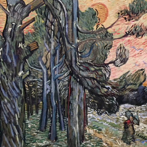 apgujeon: van gogh and the seasons » national gallery of victoria 