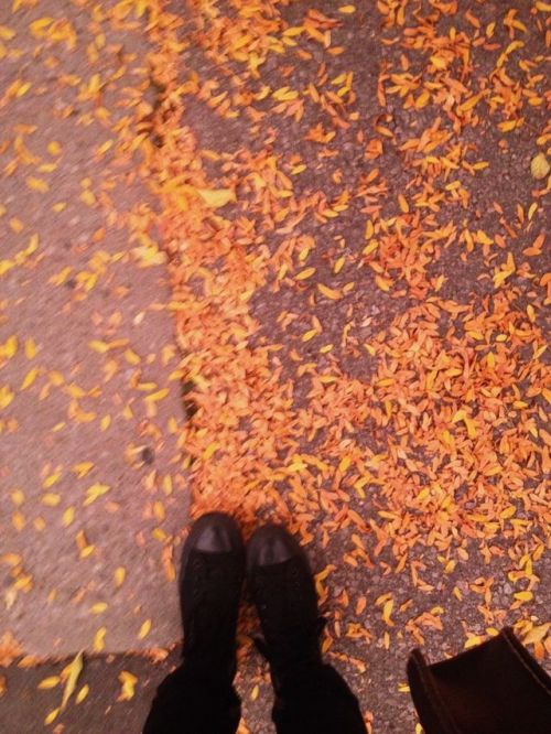 fakinq-glory:early morning fall vibes