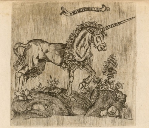 Illustration from the book “Histoire de la nature, chasse, vertus, propriétés et usage de la Lycorne