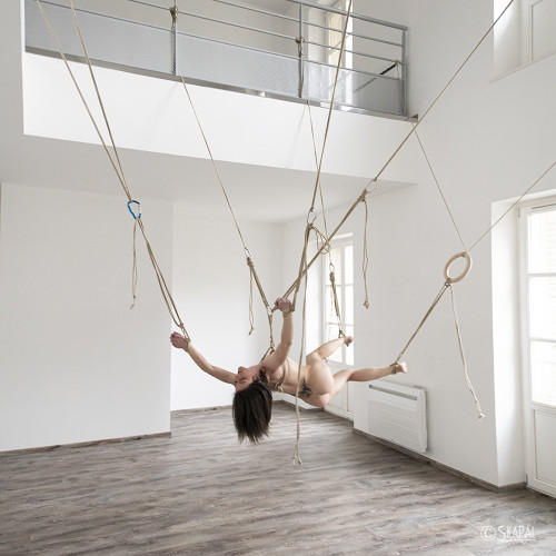 acordesetacris:  Shibari