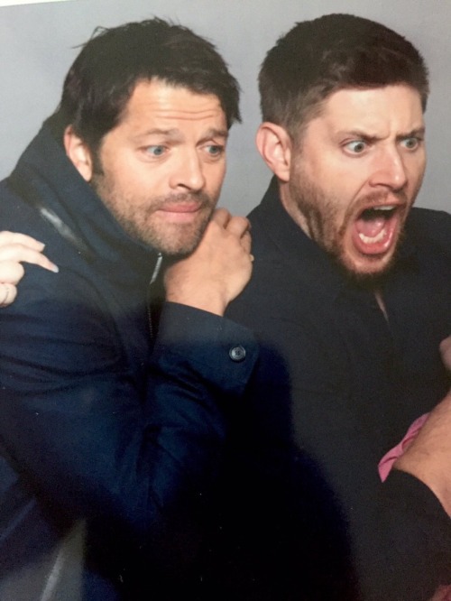 cityofdestiel:  (x)  HA