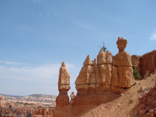 bilbobaeggins:by bilbobaegginsPretty sure these are Bryce Canyon?