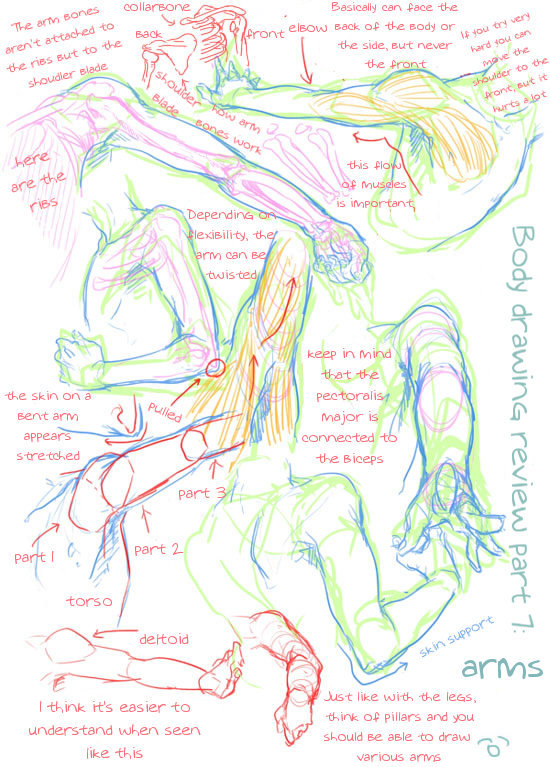 losthitsu:  Body drawing review - translated version.  Finally, Someone actually