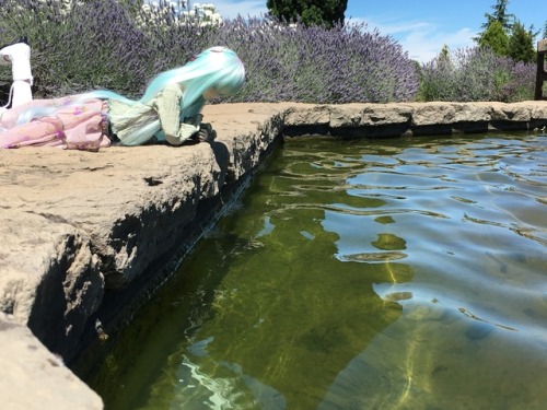 Miku at the Oregon Gardens in Silverton, Oregon.