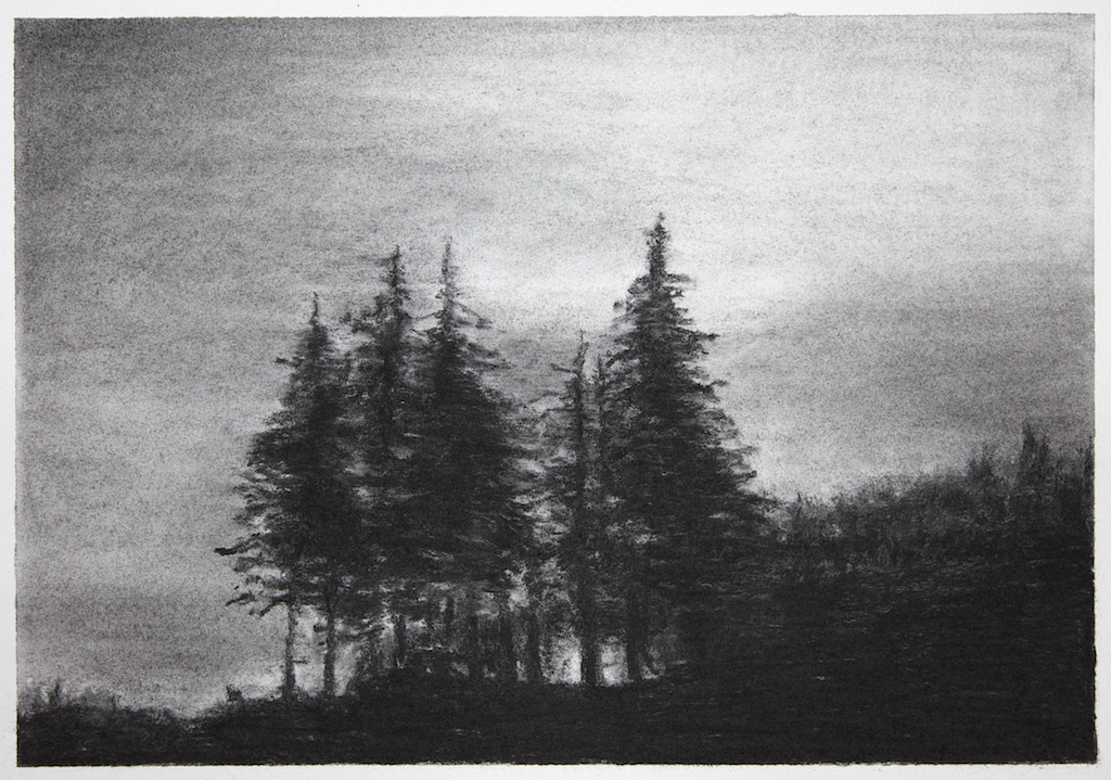 blue-voids:  Damien Cadio - characoal on paper, 2012