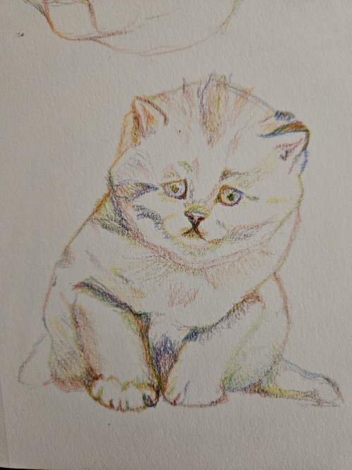 Rainbow Cat Dump Go!