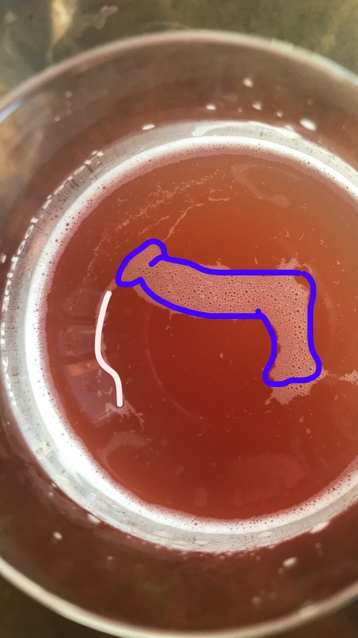 More beer foam fortune telling?  