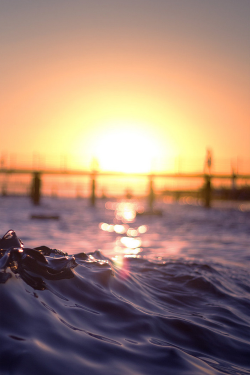 plasmatics-life:  Sunset on the Water | ….