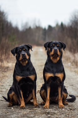 brazenbvll:  Mom and Daughter : (©) 