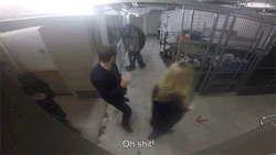 Digg:  Pranksters Scared The Crap Out Of Chris Pratt In The Best Way Possible —