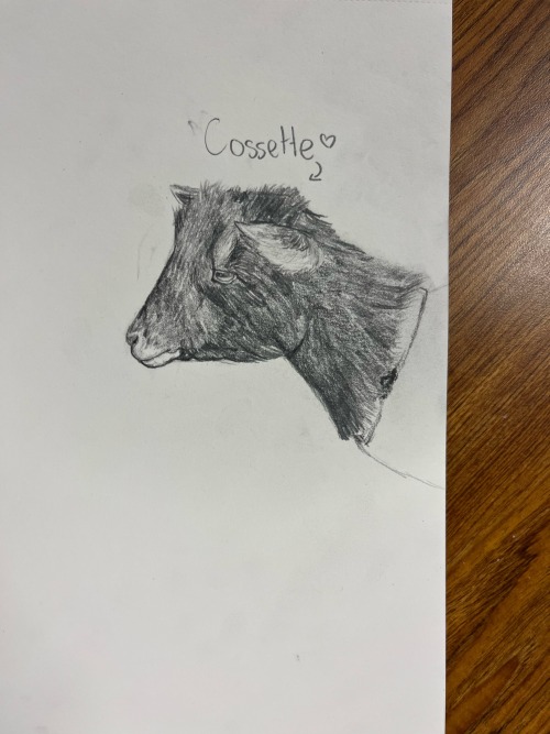 I Drew A Picture Of My Goat In Art Class