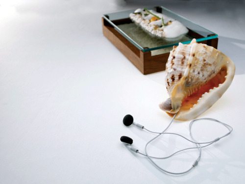 Sound of the Sea (2007) - Heston Blumenthal.“The most complete expression to date of his multisensor