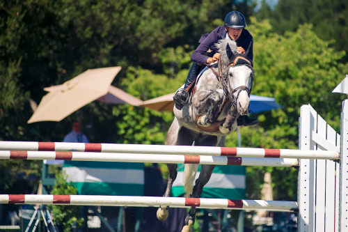 Menlo Charity Horse Show 2014 - love the horse and rider… great round until…….