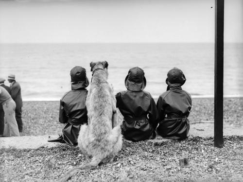 Undr:  Fox Photos. An Irish Wolfhound Joins Three Sea Gazers At A Stormy Herne Bay.