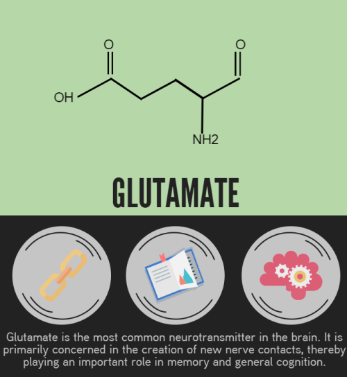 tobeagenius:We have a lot to owe to neurotransmitters, they are the driving force behind every chemi