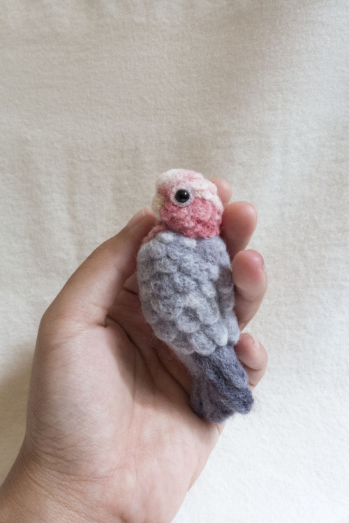 Galah brooch available at my Etsy shop