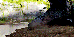 ashtonxrwins:  how to train your dragon requested by friendlythestral