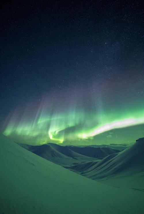 oneshotolive:  Fardalen,Svalbard [5304x7952][OC] 📷: irgens 