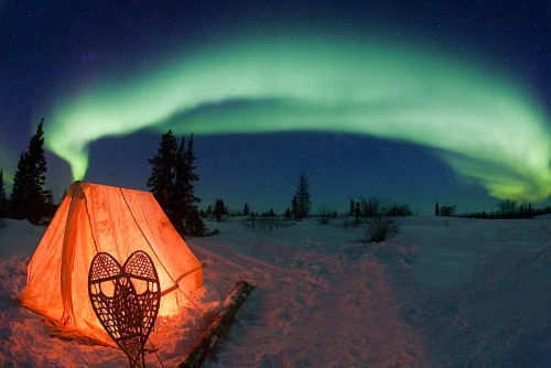 nubbsgalore:  camping under the aurora australis (first pic) and borealis, photographed by (click pic) greg harvey, ol chul kwan, patrick cullis, kevin schafer, matthias breiter and linda drake (more posts of the aurora) 