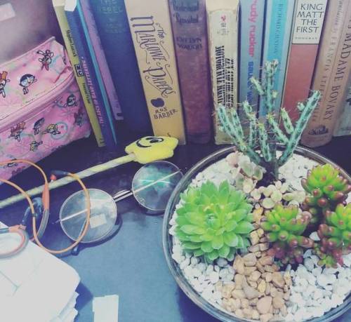 Let&rsquo;s pretend that my life is this gorgeous  . . . #succulents #plantbased #plants #bookst