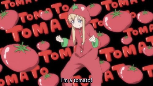 Lycopersicum sum!I’m a tomato!(Fons Imaginis.)