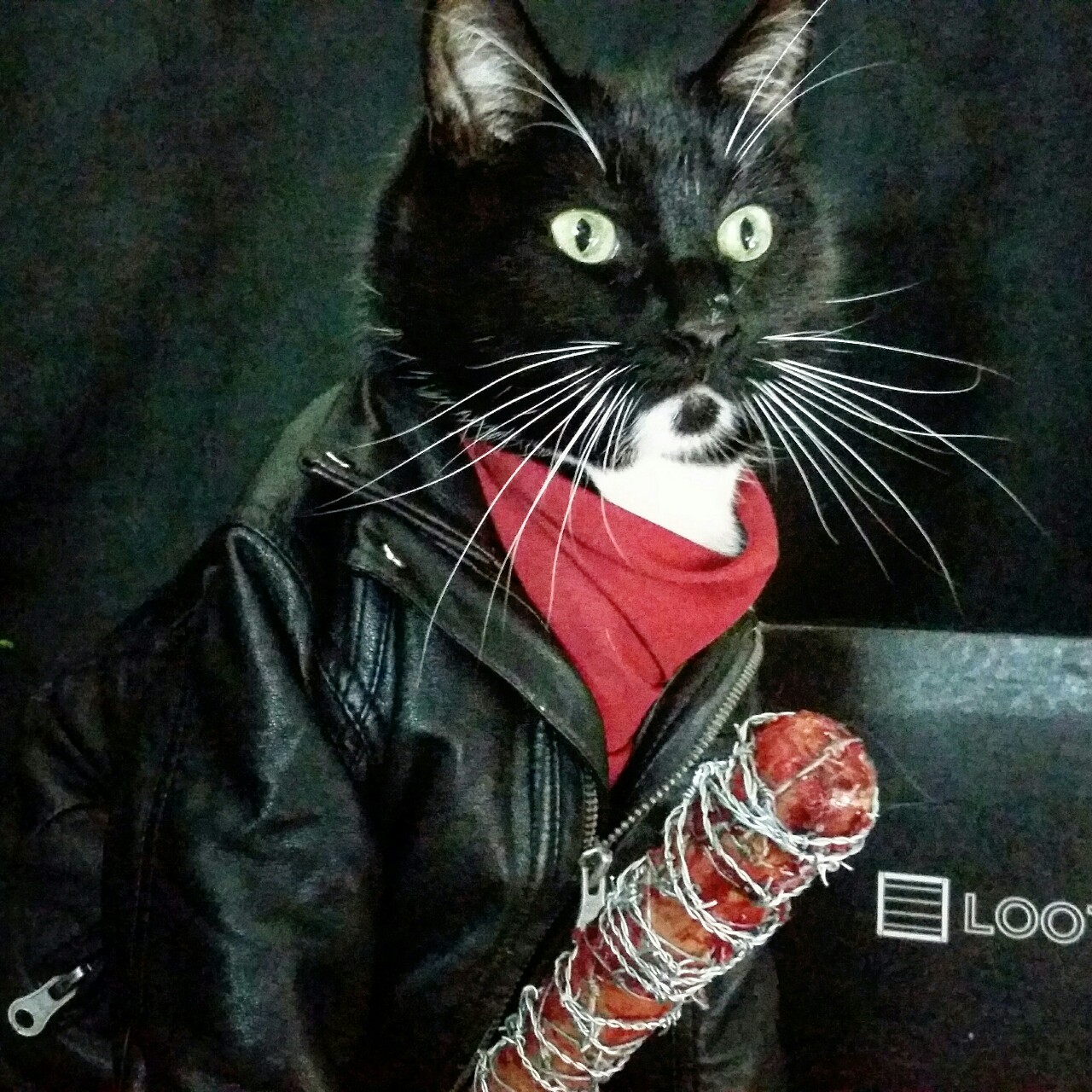 cat-cosplay:   “You can breathe. You can blink. You can cry. Hell, you’re all