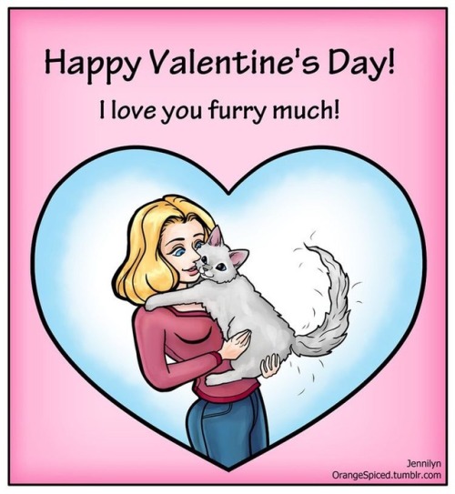 samirafee:#MAJAHAPPY VALENTINE‘S DAYI LOVE YOU FURRY MUCH@samirafee