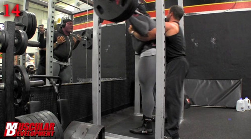 roidsville-zoo:  Justin Lovato - workout erection 
