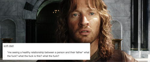 Sex the-art-of-fangirling:  lord of the rings pictures