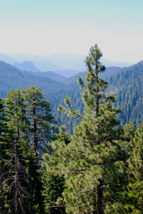 microcvts: Yosemite National Park