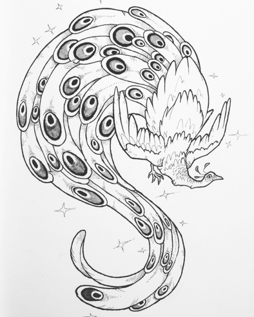 Inktober day 17 - Graceful. ✨A pretty peacock.