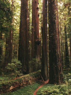 brutalgeneration:  Where I Can Be Found (by