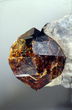 fuckyeahmineralogy:  (via zirkon-engl) Zircon