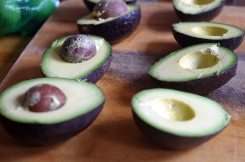 sidewaysmermaid:  344/365 I can’t help taking pictures of avocados. There’s something so architectural about them.  