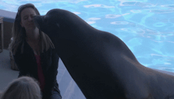 rwfan11:  visit-florida:Seal it with a kiss.