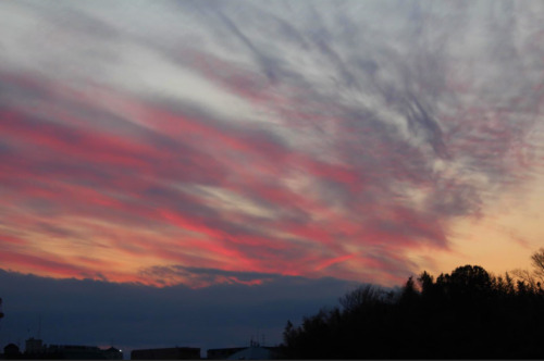 Captured A Beautiful Sky