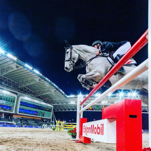 #michaelduffy @alshaqab #dohaqatar #equestrian #showjumping #showjumpinghorse #showjumper #equinepho