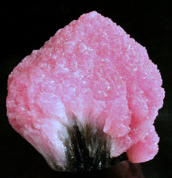 mineralogy-porn:  Pink Elbaite ‘mushroom’