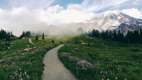 vicino-a-te-non-ho-paura:Mt Rainier Path Art Print by Kevin Russ | 